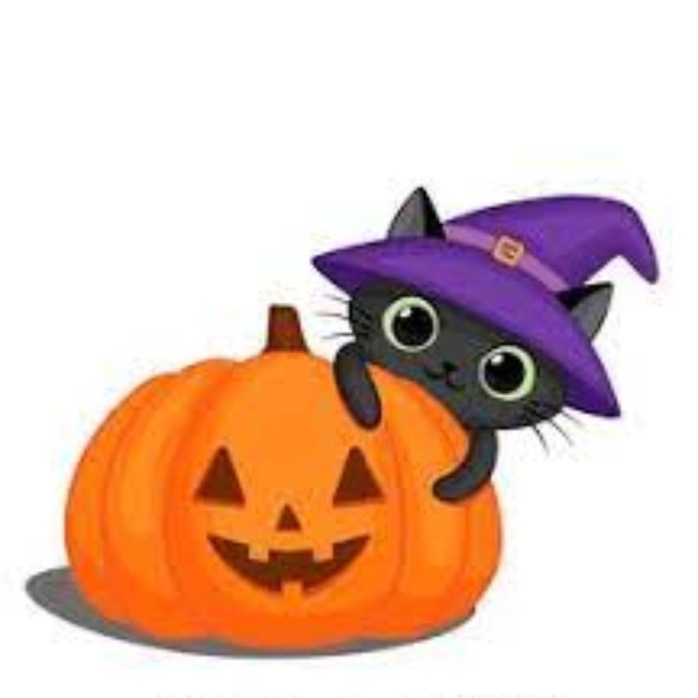 Pumpkin cat